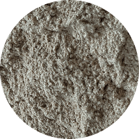 Мучка пшенична